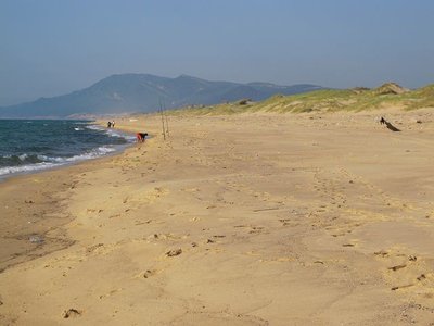 k-IMG_2847.JPG