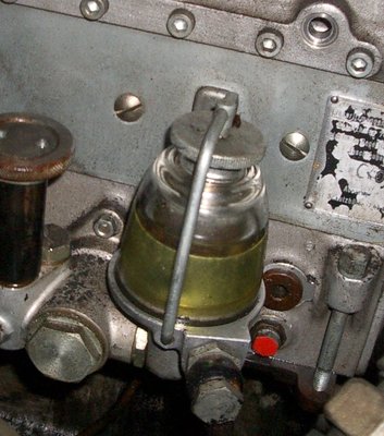 IMGP2320gl.jpg