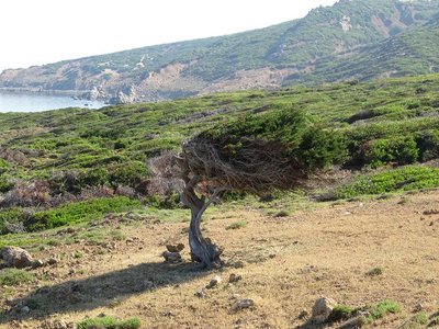 k-IMG_2897.JPG