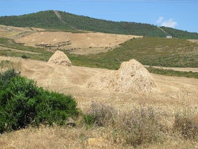 k-IMG_2920.JPG