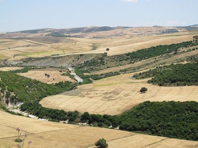 k-IMG_2925.JPG