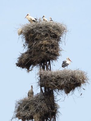 k-IMG_2927.JPG