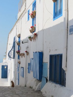 k-IMG_3000.JPG