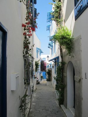 k-IMG_3018.JPG