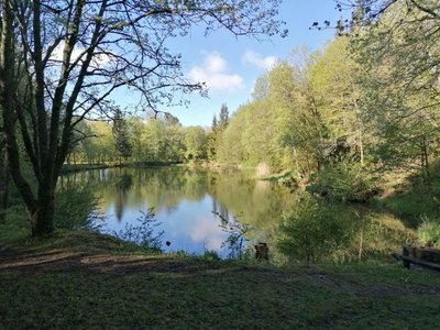 13023 Basaltsee.jpg