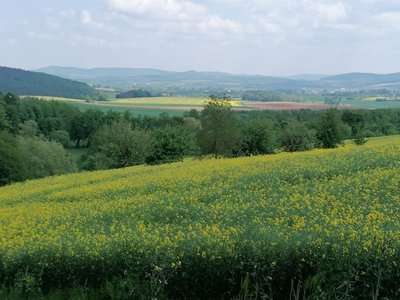 13025 Naturpark Hassberge.jpg