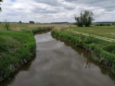 13036 Altmühl renaturierung.jpg