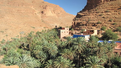 IMG_0687.JPG