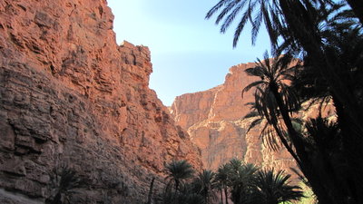 IMG_0683.JPG