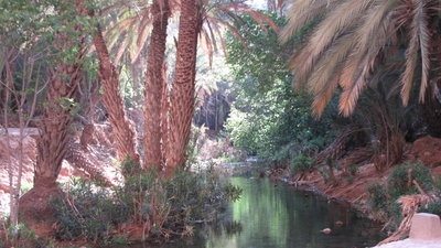 IMG_0682.JPG