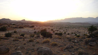DSC01216.JPG