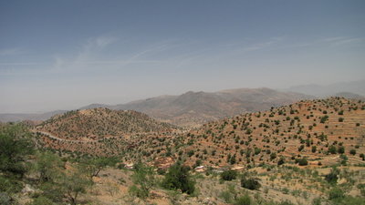 IMG_0612.JPG