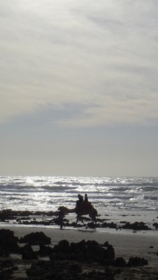 DSC01183.JPG
