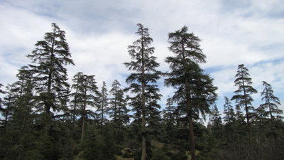 IMG_0533.JPG