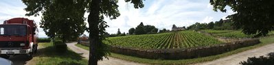 FRA Weinberge Herault