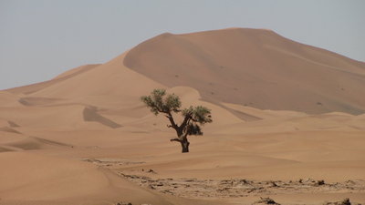 IMG_0751.JPG