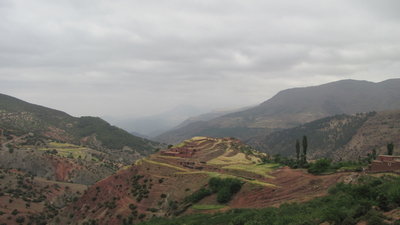 IMG_0736.JPG