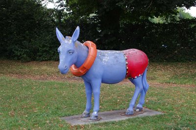20200812_151212_Hardegsen_025.JPG