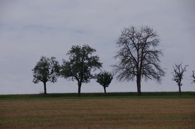 20200815_090450_Obernbreit_001.JPG