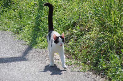 20200815_095834_Obernbreit_008.JPG