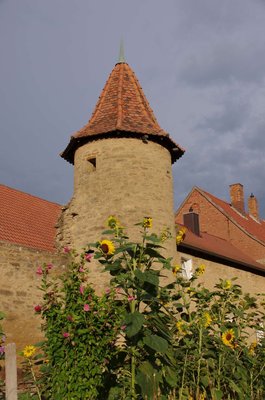 20200815_181344_Mainbernheim_109.JPG