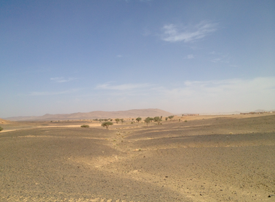 Wiederum Piste nach M'hamid (etwa 250 km zwischen Erg Chebbi und M'hamid)