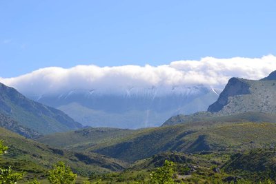 2012-05-18_09-02-03.jpg