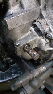 20201114_161248.jpg