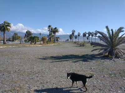 13265 Motril Strand.jpg (264.31 KiB) 9634 mal betrachtet 13265 Motril Strand.jpg