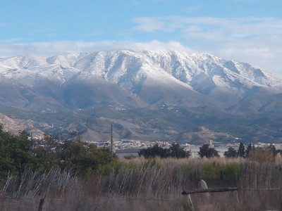13266 Sierra Nevada.jpg