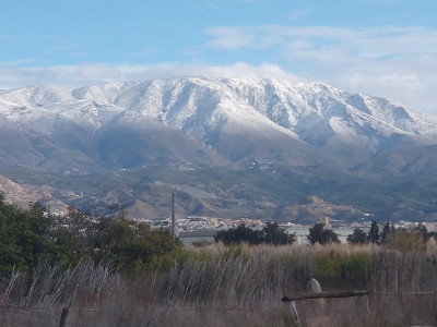 13266 Sierra Nevada.jpg (231.9 KiB) 9634 mal betrachtet 13266 Sierra Nevada.jpg