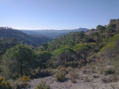 13271 Sierra de Mijas 1.jpg