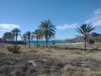 13292 Playa de Percheles 1.jpg