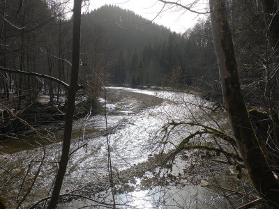 13309 Wutach Schlucht 2.jpg