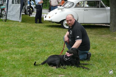 Hier hat mich kürzlich die Zeitung "erwischt" mit Hund, wo wir auf einem Fest waren.