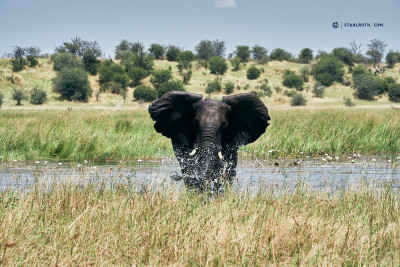 21-03-14_Boteti_Elefanten_Botswana__HST2544.jpg
