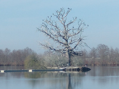 13345 Am Weiher.jpg