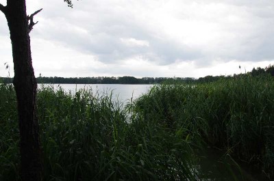 20120711_180559_bei_Chycina_Dlugie-See_007.JPG