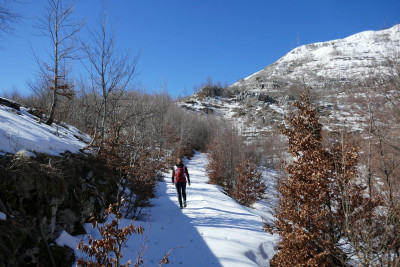 P1030569.JPG