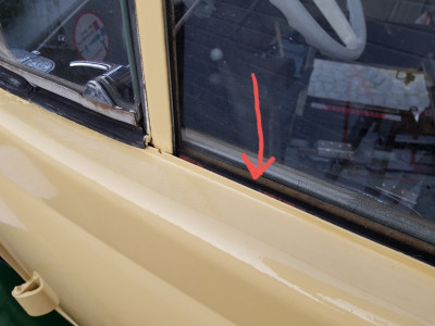 fenster maggi.jpg