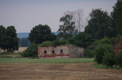 20210805_171524_Oderbruch_004.JPG