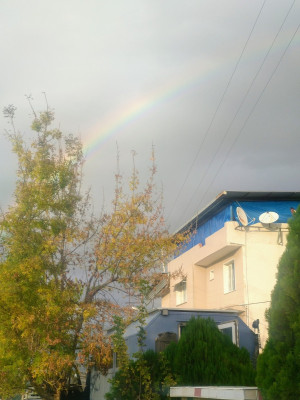 regenbogen.jpg