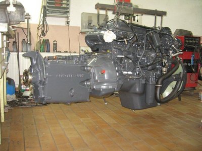 IMG_3726.jpg