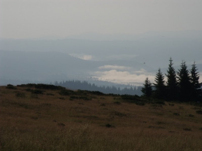 DSCF0906.JPG