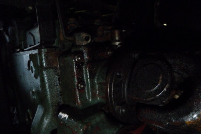 P1180653k.JPG