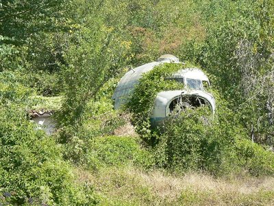 Irgendwo zwischen Dimitrovgrad und Niš haben anscheinend <br />vor vielen Jahren findige Geschäftsleute versucht, <br />einen Rastplatz aus der Pampa zu stampfen. <br />Das Flugzeugcockpit sollte sicher der Zugmagnet der daneben liegenden<br /> Gaststätte werden. Nun holt sich die Vegetation ihren Anteil zurück.<br />.