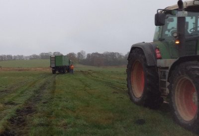 Und Energie! Schön fein abgestimmt zusammen Zug aufbringen, erst ruhig, und wenn es passt im richtigen Moment zusammen mit Macht- und schon im zweiten Anlauf stand das Auto auf dem Trockenen.