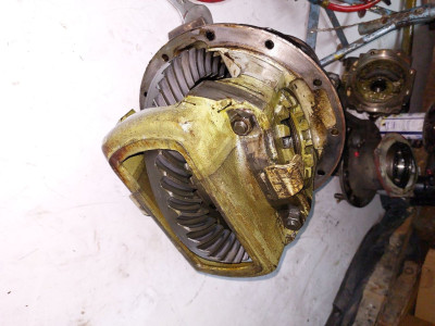 klein25.jpg