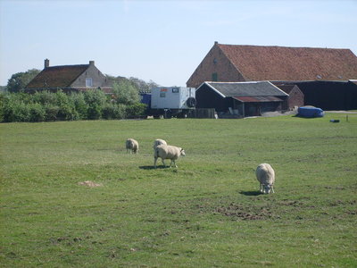Standplatz