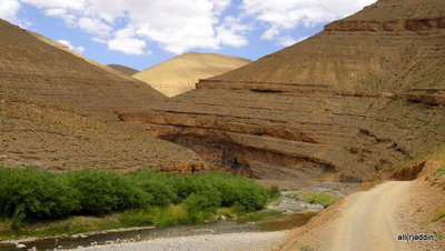 DSC01372.JPG